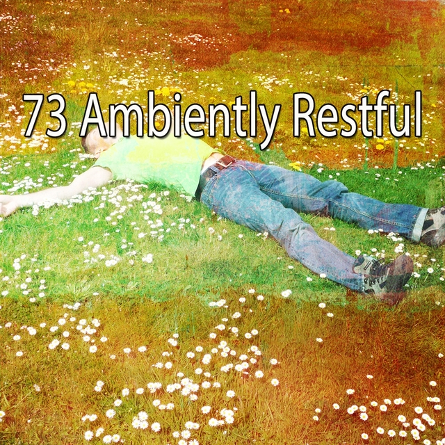 Couverture de 73 Ambiently Restful