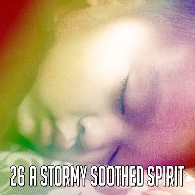 Couverture de 26 A Stormy Soothed Spirit