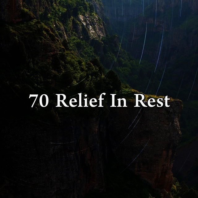 Couverture de 70 Relief in Rest