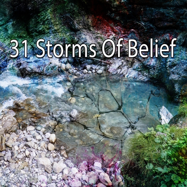 Couverture de 31 Storms of Belief