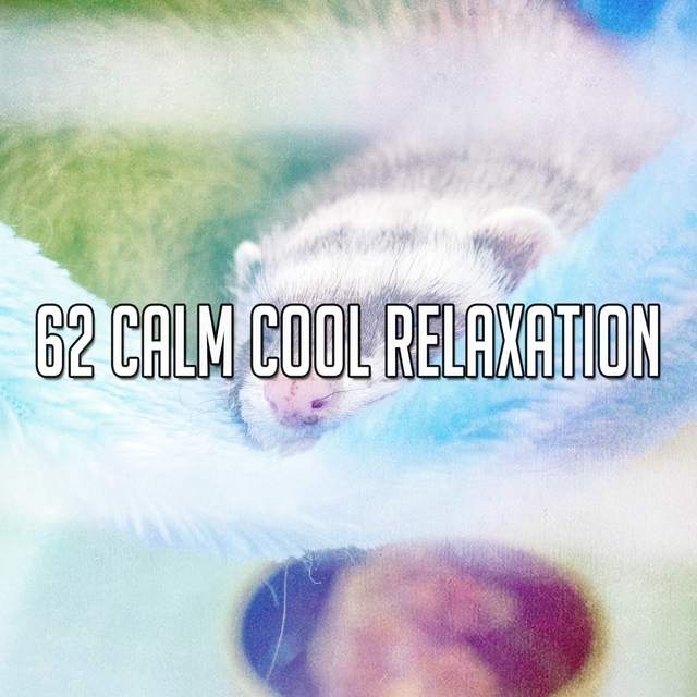 Couverture de 62 Calm Cool Relaxation