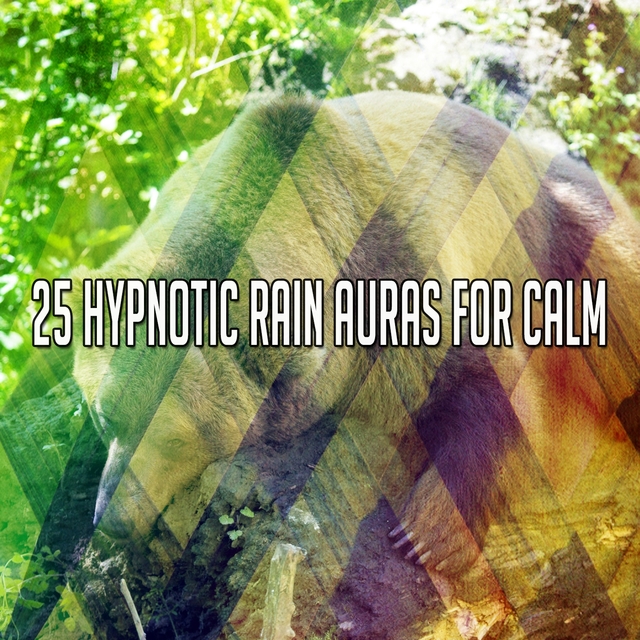 25 Hypnotic Rain Auras for Calm