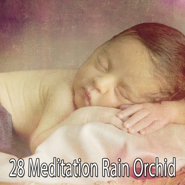 Couverture de 28 Meditation Rain Orchid