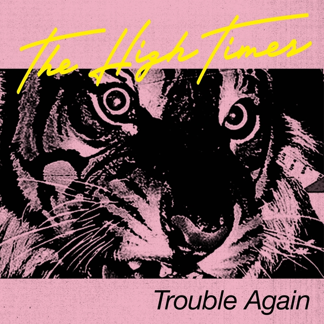 Couverture de Trouble Again