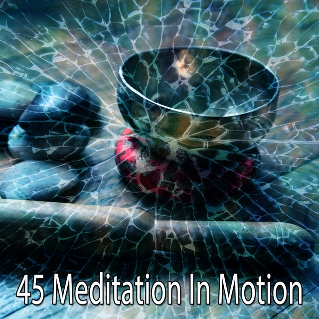 45 Meditation in Motion