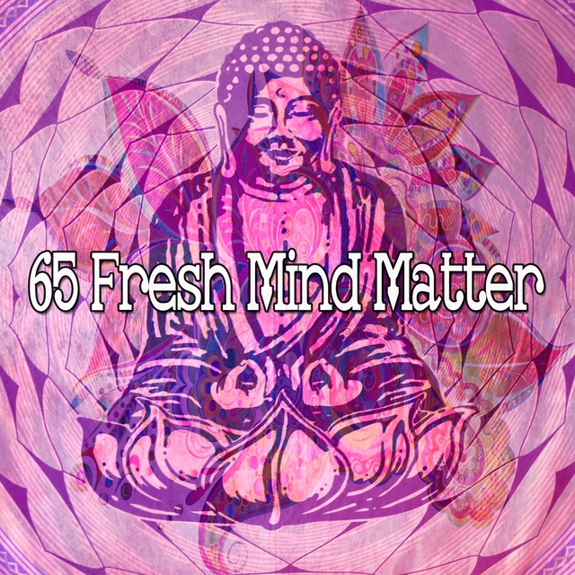 65 Fresh Mind Matter