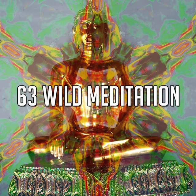 63 Wild Meditation