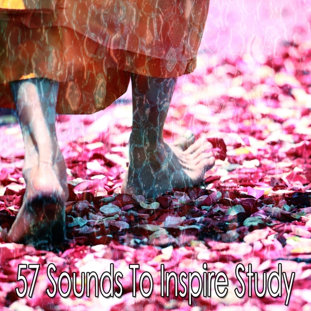 57 Sounds to Inspire Study