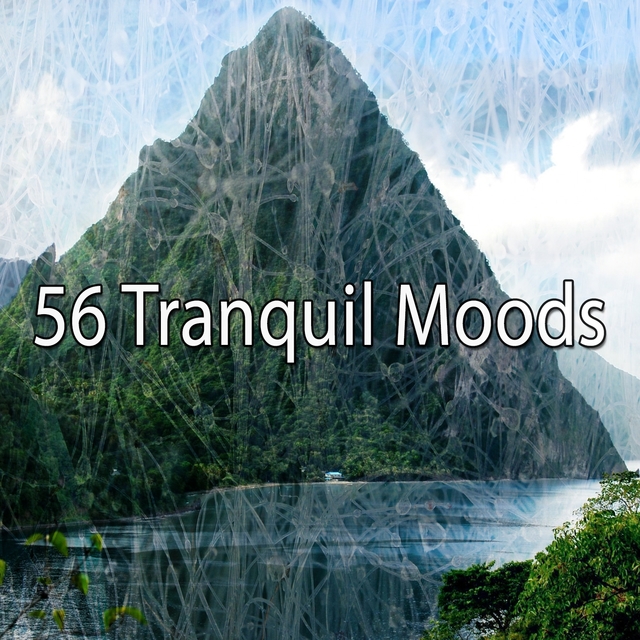 56 Tranquil Moods