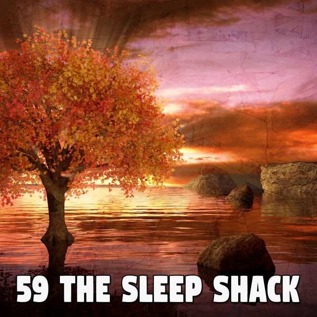 59 The Sleep Shack