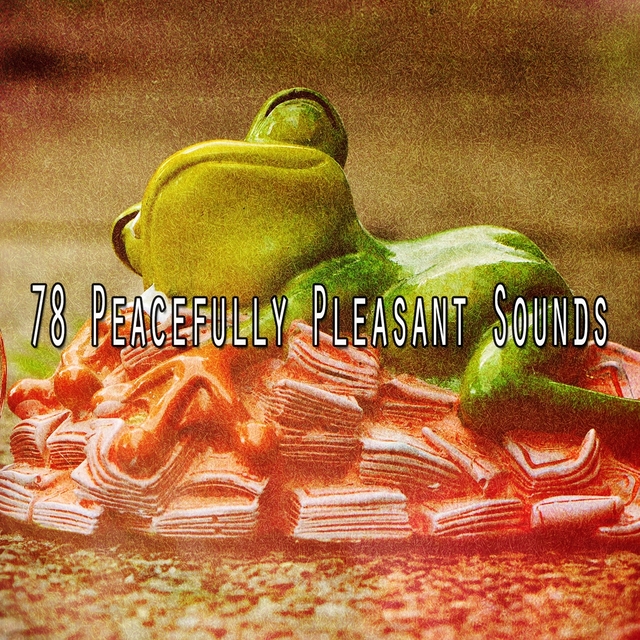 78 Peacefully Pleasant Sounds