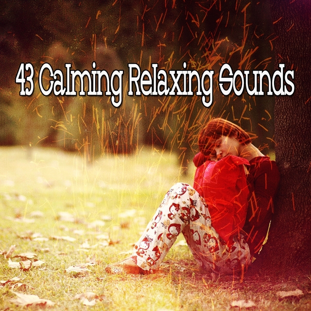 43 Calming Relaxing Sounds