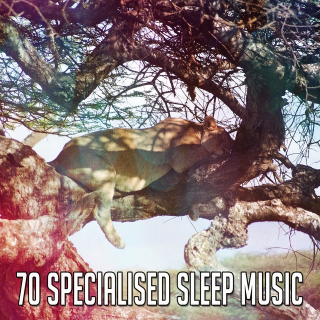 70 Specialised Sleep Music