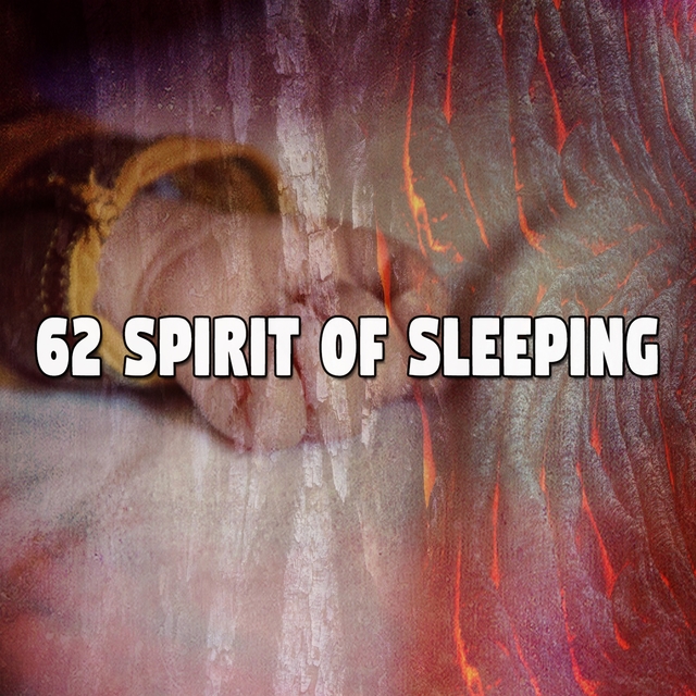 62 Spirit of Sleeping