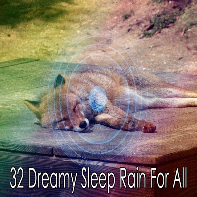 32 Dreamy Sleep Rain for All