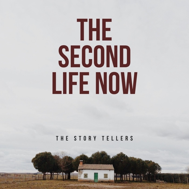 Couverture de The second life now