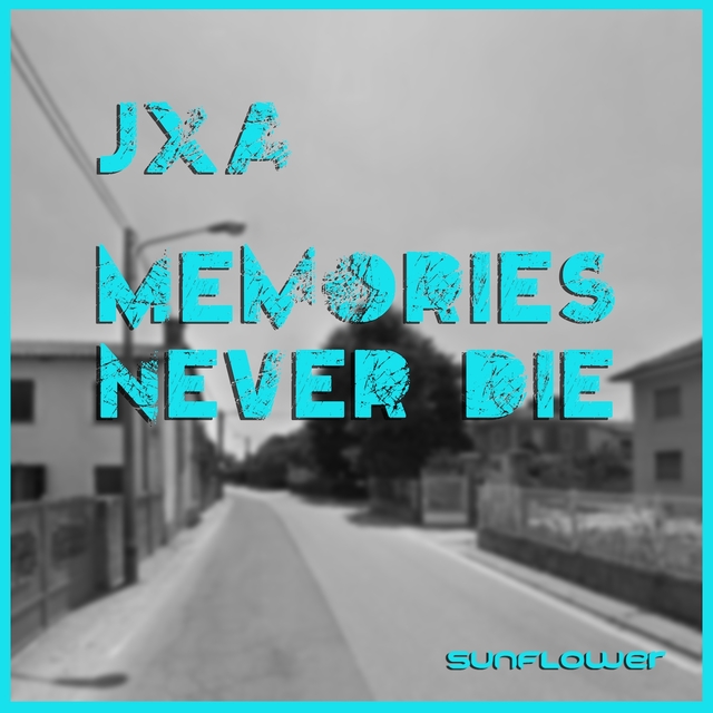 Couverture de Memories Never Die