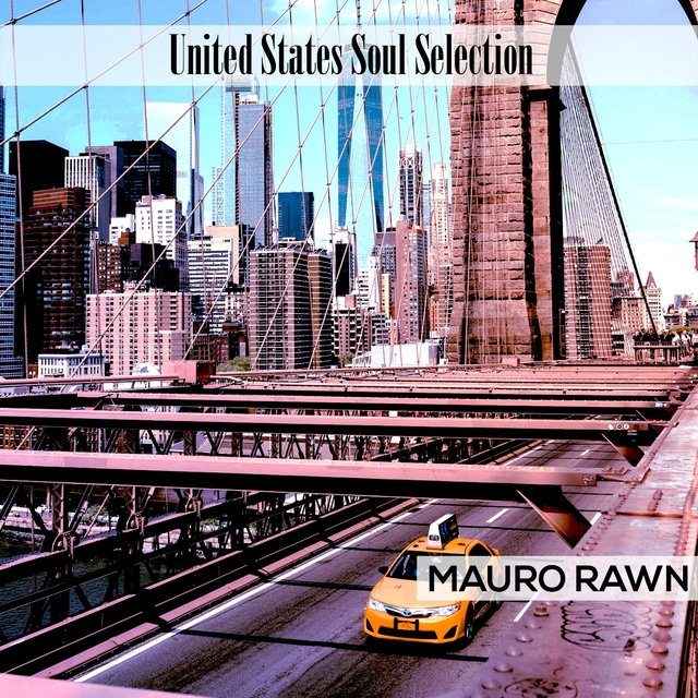 Couverture de United States Soul Selection