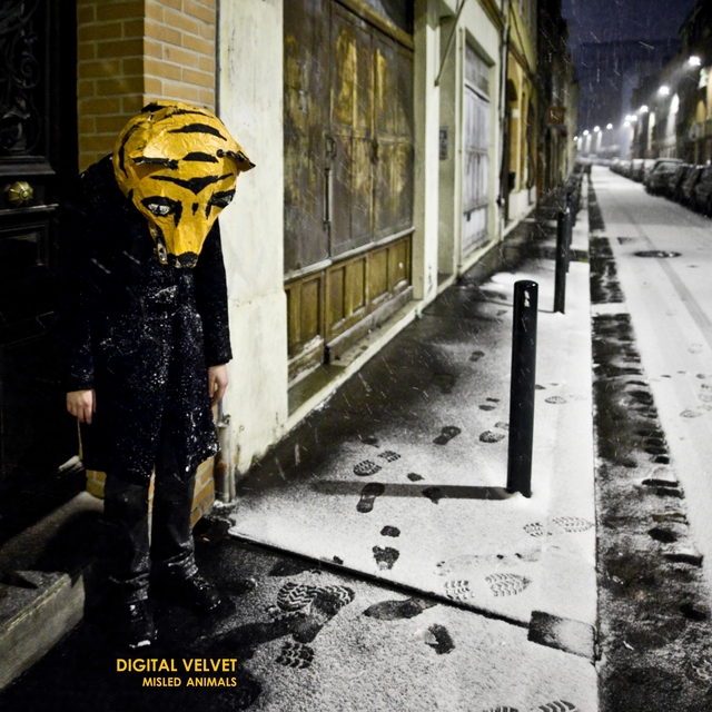 Couverture de Misled Animals