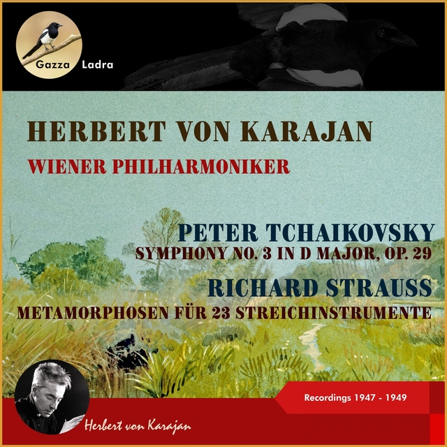 Couverture de Peter Tchaikovsky: Symphony No. 6 "Pathétique" - Richard Strauss: Metamorphosen