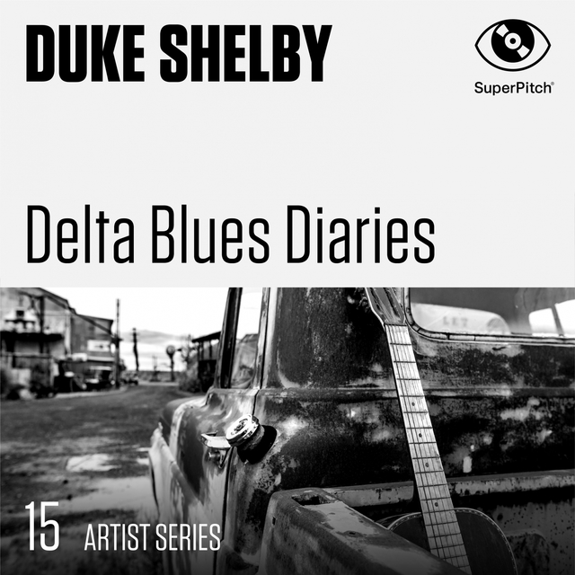 Couverture de Delta Blues Diaries