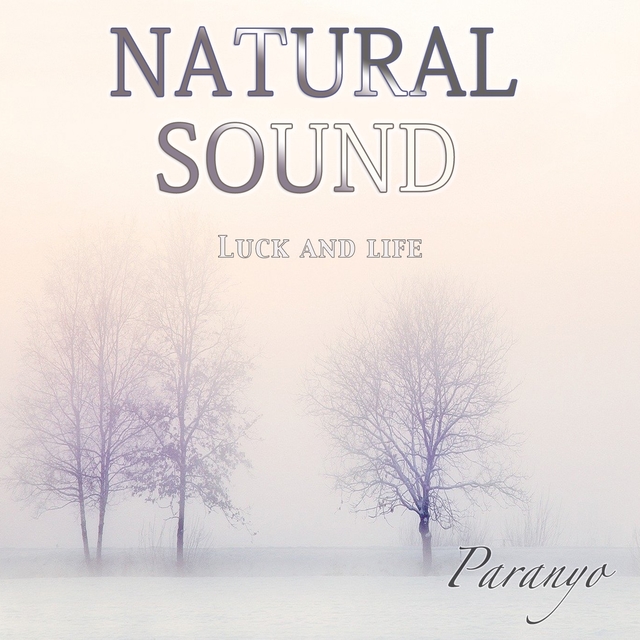 Couverture de Natural sound