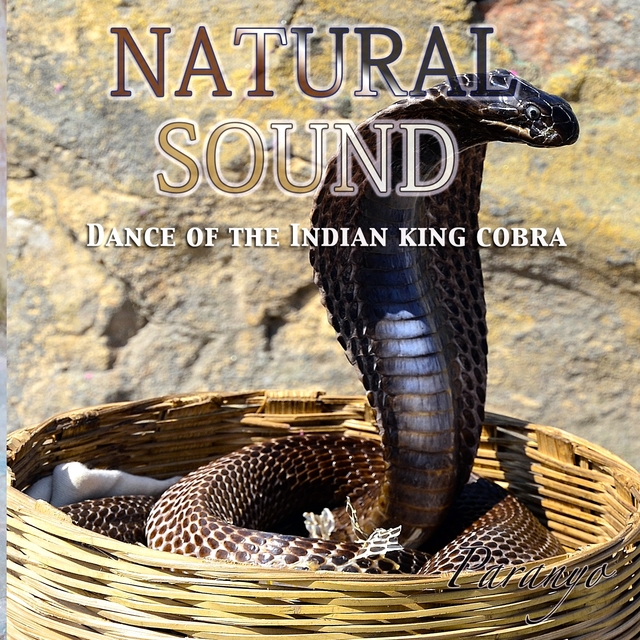 Couverture de Natural Sound