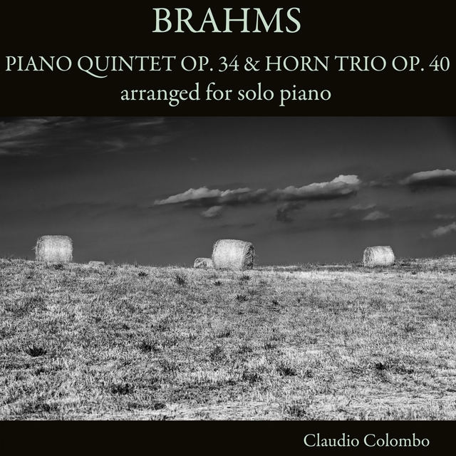 Couverture de Brahms: Piano Quintet, Op. 34 & Horn Trio, Op. 40