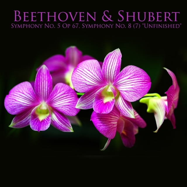 Couverture de Beethoven & Shubert: Symphony No. 5 Op. 67, Symphony No. 8 (7) "Unfinished"