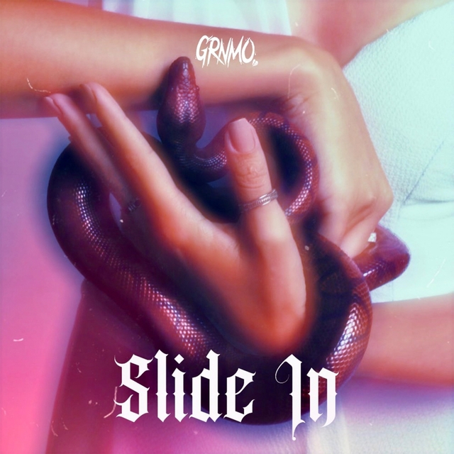 Couverture de Slide In