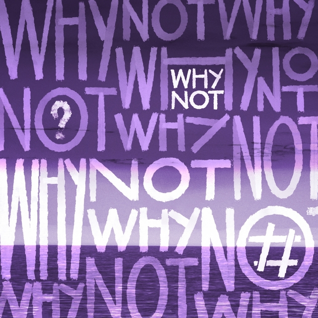 Couverture de Why Not?