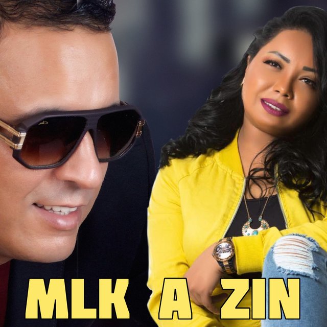 Couverture de Mlk A zin