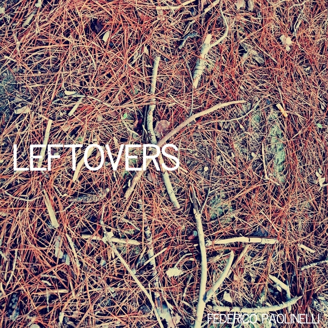 Leftovers