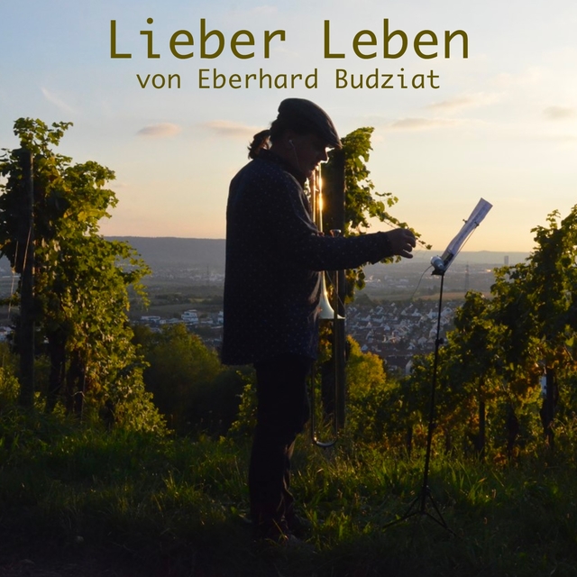 Couverture de Lieber Leben