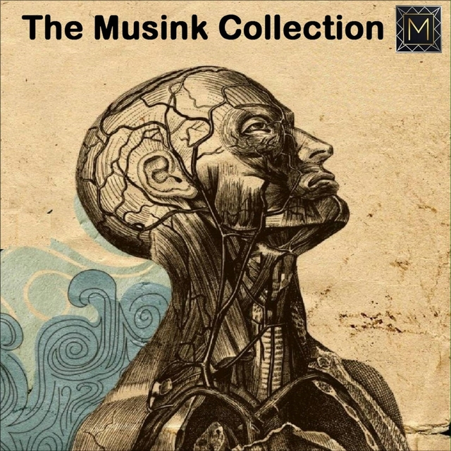 The Musink Collection