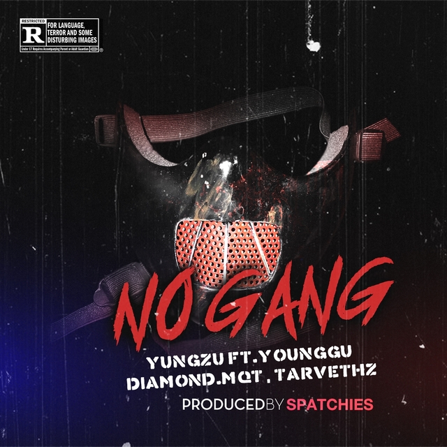 Couverture de No Gang