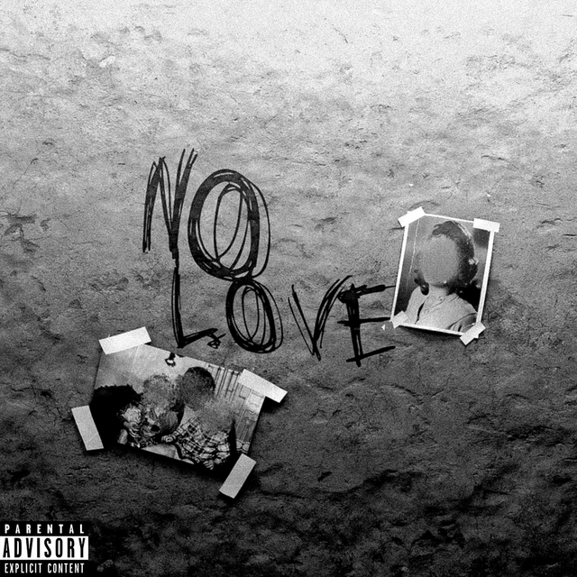 Couverture de NO LOVE