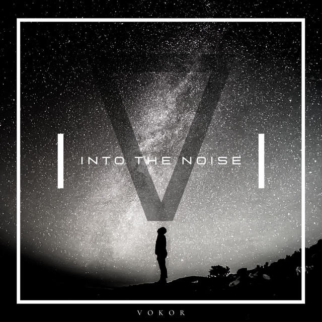 Couverture de Into the Noise