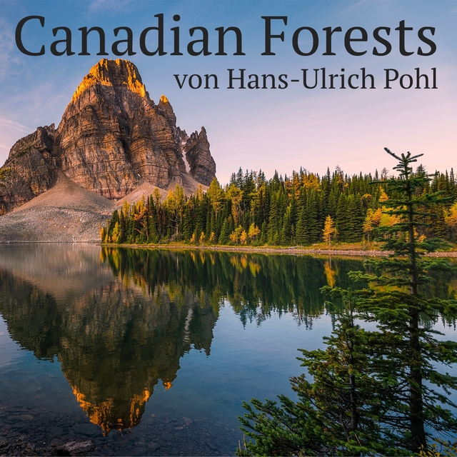 Couverture de Canadian Forests