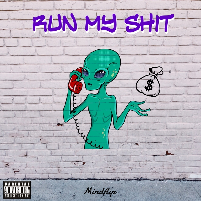 Couverture de Run My Shit