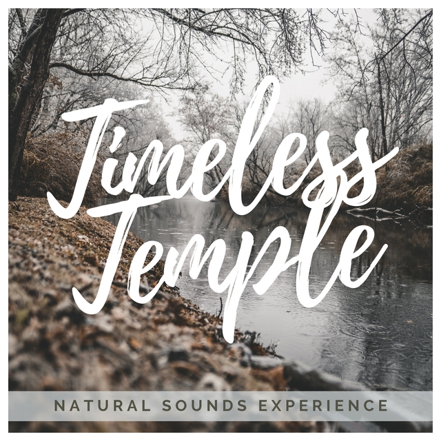 Couverture de Timeless Temple