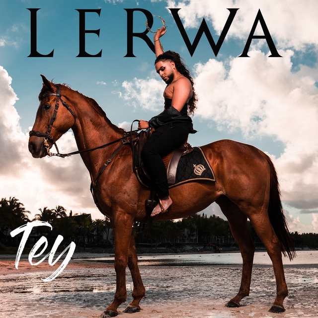 Couverture de Lerwa