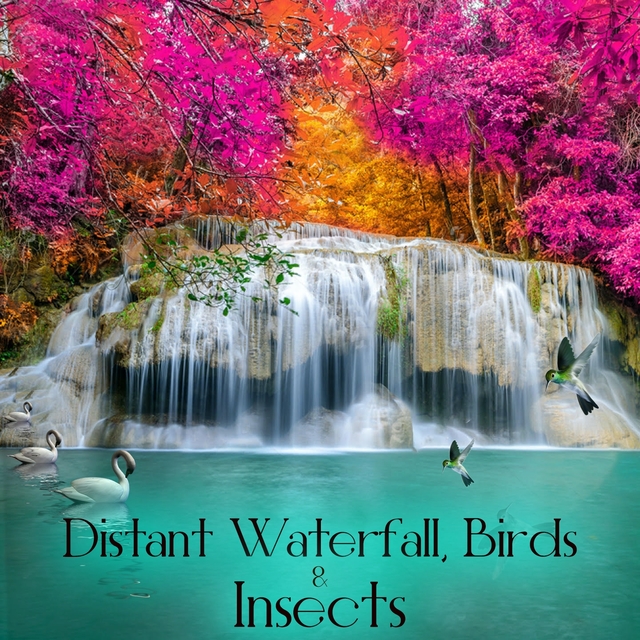 Couverture de Distant Waterfall, Birds & Insects