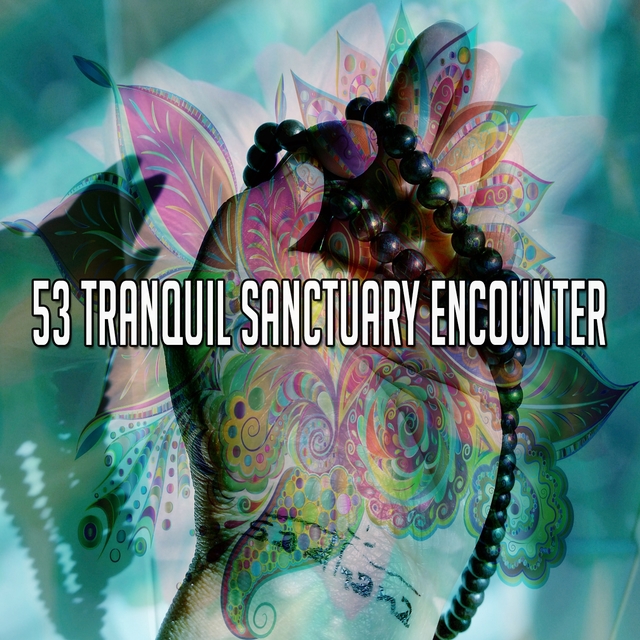 53 Tranquil Sanctuary Encounter