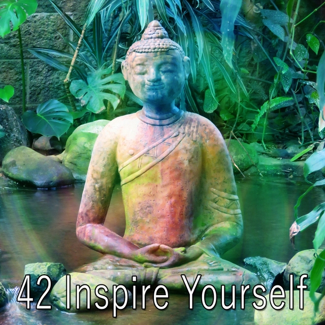 Couverture de 42 Inspire Yourself