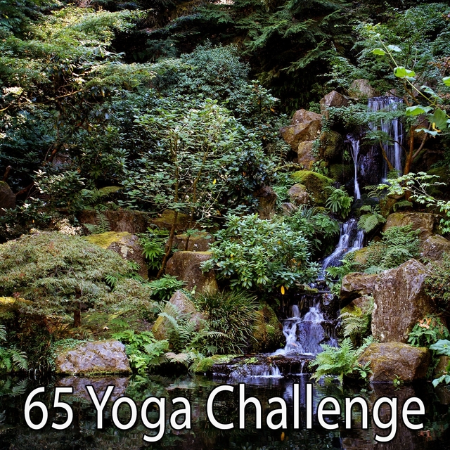 65 Yoga Challenge