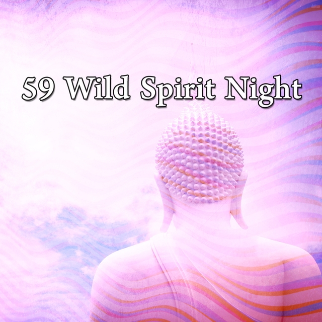 Couverture de 59 Wild Spirit Night