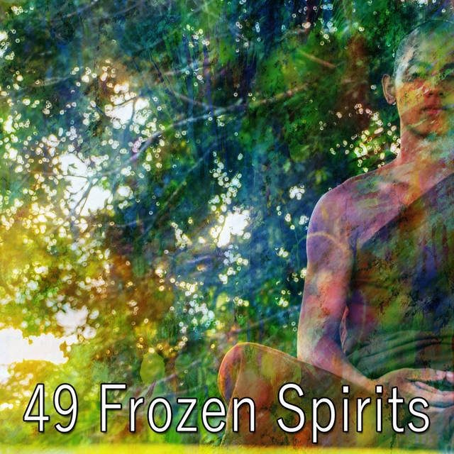 Couverture de 49 Frozen Spirits