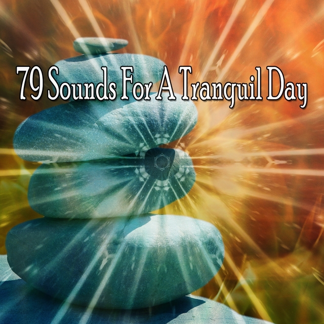 79 Sounds for a Tranquil Day