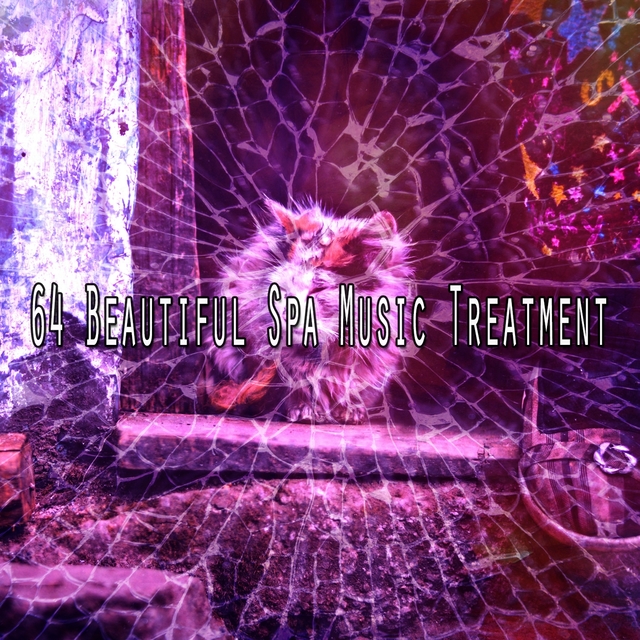 64 Beautiful Spa Music Treatment